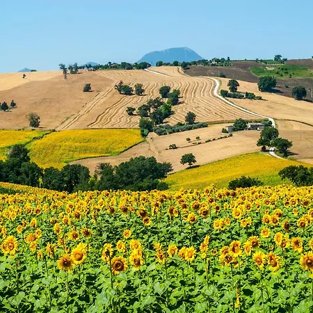 Eldorado Hotel Apiro