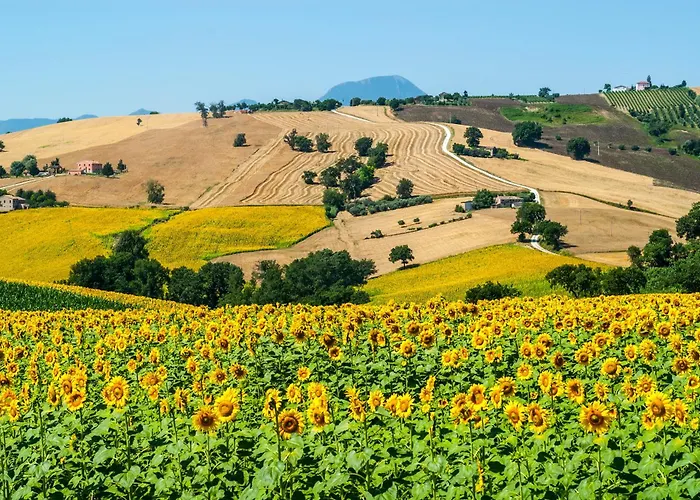 Eldorado Hotel Apiro